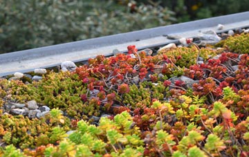 the cost of Stapehill green roof installation
