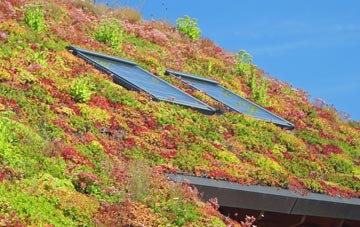 Stapehill living roof systems