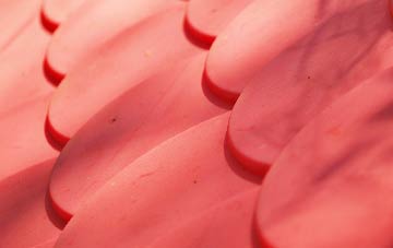 Stapehill plastic roof costs