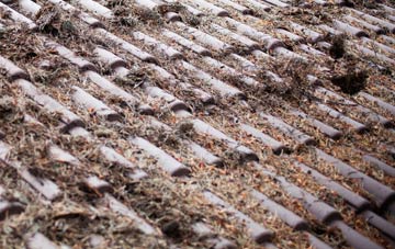 Stapehill roof cleaning companies