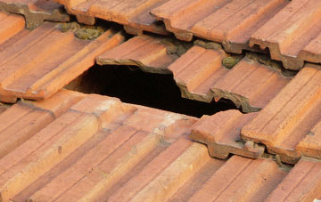 roof repair Stapehill, Dorset